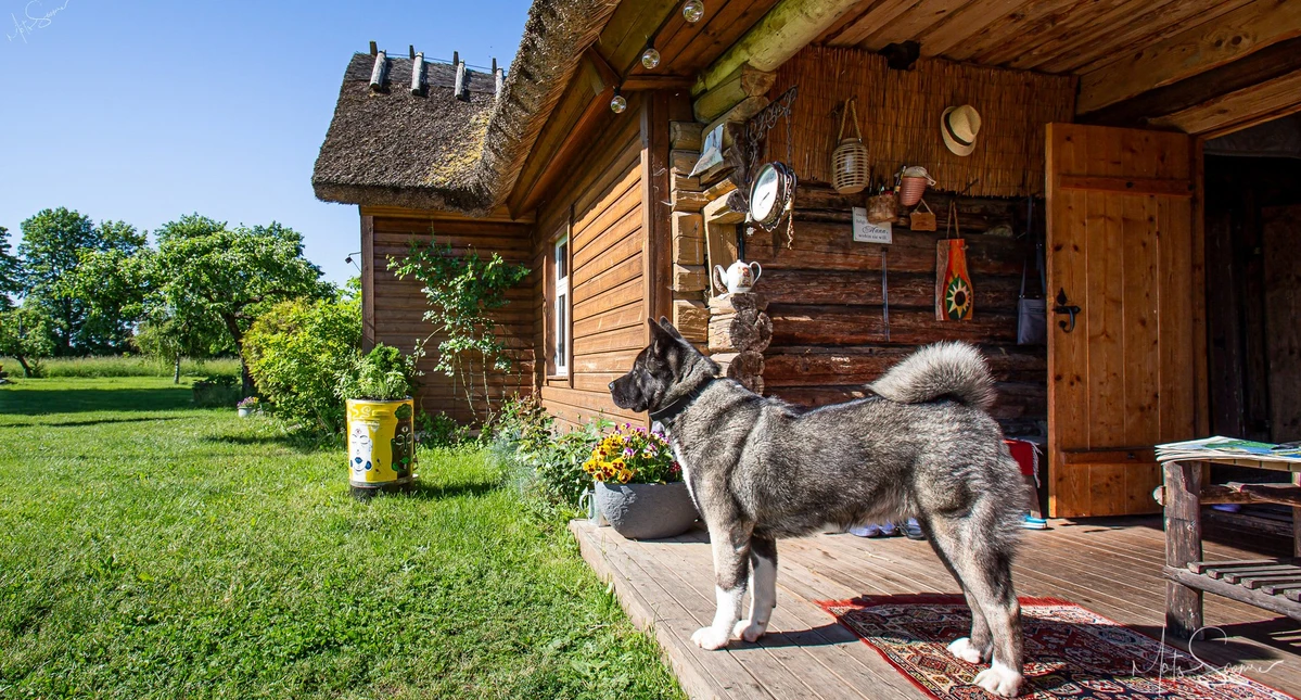 Põldotsa sõbrad foto: Mats Soomre